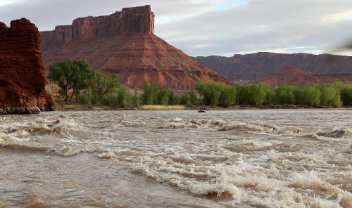 Journalists and water experts raft down the Moab Daily section of the Colorado River with Holiday River Expeditions during a kickoff event for the Colorado River Collaborative in Grand County on Thursday, April 25, 2024. The kickoff event was sponsored by the Utah State University Janet Quinney Lawson Institute for Land, Water and Air and The Water Desk. (Kristin Murphy, Deseret News)